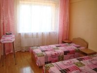 2-комнатная квартира посуточно Нижний Новгород, улица Мичурина, 1: Фотография 3