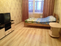 1-комнатная квартира посуточно Нижний Новгород, Дмитрия Павлова , 3: Фотография 2