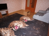 1-комнатная квартира посуточно Иваново, Парижской Коммуны, 48: Фотография 2