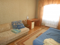 1-комнатная квартира посуточно Псков, Ижорского бат. , , 45: Фотография 3