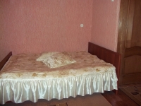 1-комнатная квартира посуточно Саратов, Сакко и Ванцетти, 48: Фотография 5