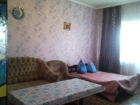 2-комнатная квартира посуточно Димитровград, Московская, 60 а: Фотография 2
