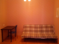 1-комнатная квартира посуточно Новосибирск, Линейная, 33/1: Фотография 3
