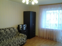 1-комнатная квартира посуточно Нижний Новгород, проспект Гагарина, 107: Фотография 4