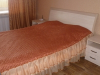 1-комнатная квартира посуточно Черногорск, Генерала Тихонова, 11А: Фотография 2