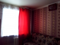 1-комнатная квартира посуточно Нижний Новгород, Проспект Ленина, 65 к 3: Фотография 5