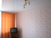 1-комнатная квартира посуточно Верхний Уфалей, Бабикова , 68А: Фотография 2