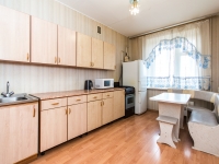 1-комнатная квартира посуточно Нижний Новгород, Коминтерна, 256: Фотография 3