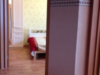 1-комнатная квартира посуточно Балашиха, Твардовского, 26: Фотография 4