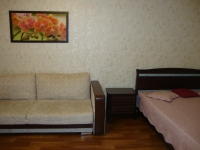 1-комнатная квартира посуточно Санкт-Петербург, Коломяжский проспект, 28: Фотография 8