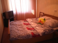 2-комнатная квартира посуточно Новосибирск, Челюскинцев, 6: Фотография 3