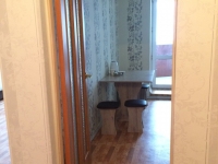 1-комнатная квартира посуточно Нижний Новгород, Культуры, 4: Фотография 4