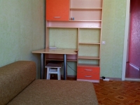 3-комнатная квартира посуточно Барнаул, семенова , 17: Фотография 9