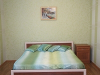 1-комнатная квартира посуточно Нижний Новгород, Минина, 25а: Фотография 2