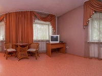 1-комнатная квартира посуточно Красноярск, Сурикова, 3: Фотография 4