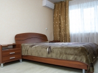 1-комнатная квартира посуточно Саранск, Советская улица, 33: Фотография 2