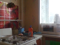 1-комнатная квартира посуточно Красноярск, Партизана железняка, 12а: Фотография 3