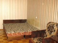 1-комнатная квартира посуточно Балашиха, Свердлова, 37: Фотография 2