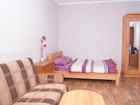 1-комнатная квартира посуточно Воронеж, Карла Маркса, 116а: Фотография 2