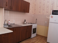 1-комнатная квартира посуточно Воронеж, Челюскинцев, 101в: Фотография 6