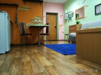 1-комнатная квартира посуточно Пермь, Екатерининская, 122: Фотография 8