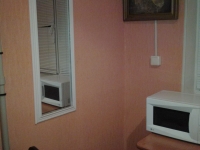 2-комнатная квартира посуточно Дзержинск, Гайдара, , 38: Фотография 3