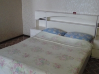 1-комнатная квартира посуточно Дзержинск, Петрищева, 5: Фотография 2