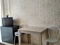 1-комнатная квартира посуточно Новосибирск, Виктора Уса , 9: Фотография 2