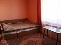 1-комнатная квартира посуточно Могилев, Пионерская, 35: Фотография 2