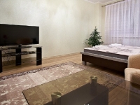 1-комнатная квартира посуточно Екатеринбург, 8 марта , 190: Фотография 5