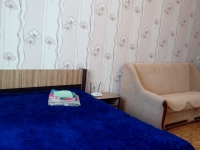 1-комнатная квартира посуточно Саранск, Попова, 64в: Фотография 2