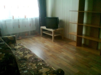 2-комнатная квартира посуточно Нижний Новгород, краснозвездная, 5: Фотография 2