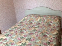 1-комнатная квартира посуточно Нижний Новгород, Коминтерна , 115: Фотография 2
