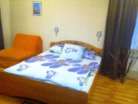 1-комнатная квартира посуточно Новосибирск, немировича-данченко, 155: Фотография 3
