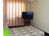 1-комнатная квартира посуточно Барнаул, Круской, 145: Фотография 2