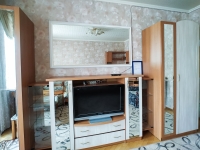 1-комнатная квартира посуточно Пермь, Пермская, 232: Фотография 3