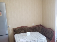 1-комнатная квартира посуточно Саранск, Щорса, 10: Фотография 10