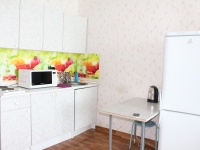 1-комнатная квартира посуточно Красноярск, Карамзина, 14: Фотография 2