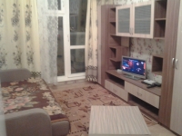 1-комнатная квартира посуточно Новосибирск, виктора уса , 7: Фотография 3