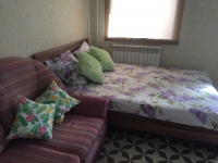 1-комнатная квартира посуточно Владимир, Кулибина, 10: Фотография 3