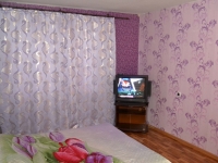 1-комнатная квартира посуточно Нижний Новгород,  Родионова, 199 к1: Фотография 2