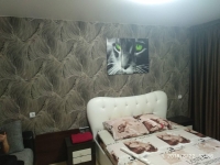 1-комнатная квартира посуточно Ижевск, Молодежная, 49: Фотография 3