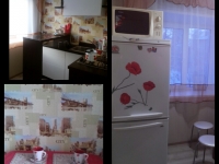 1-комнатная квартира посуточно Ижевск, Пушкинская, 243: Фотография 5