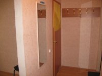 1-комнатная квартира посуточно Нижний Новгород, Вокзальная , 22: Фотография 3