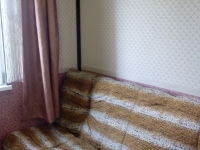 1-комнатная квартира посуточно Омск, октябрьская, 190: Фотография 3