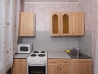 1-комнатная квартира посуточно Красноярск, гладкова, 5: Фотография 3