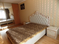 1-комнатная квартира посуточно Челябинск, проспект Ленина, 30: Фотография 2
