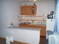 1-комнатная квартира посуточно Иркутск, марата, 31: Фотография 2