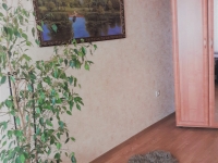 1-комнатная квартира посуточно Подольск, Филиппова, 1: Фотография 6