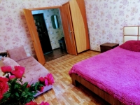 1-комнатная квартира посуточно Красноярск, Ааиаторов, 40: Фотография 2